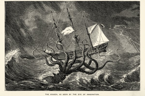 Kraken